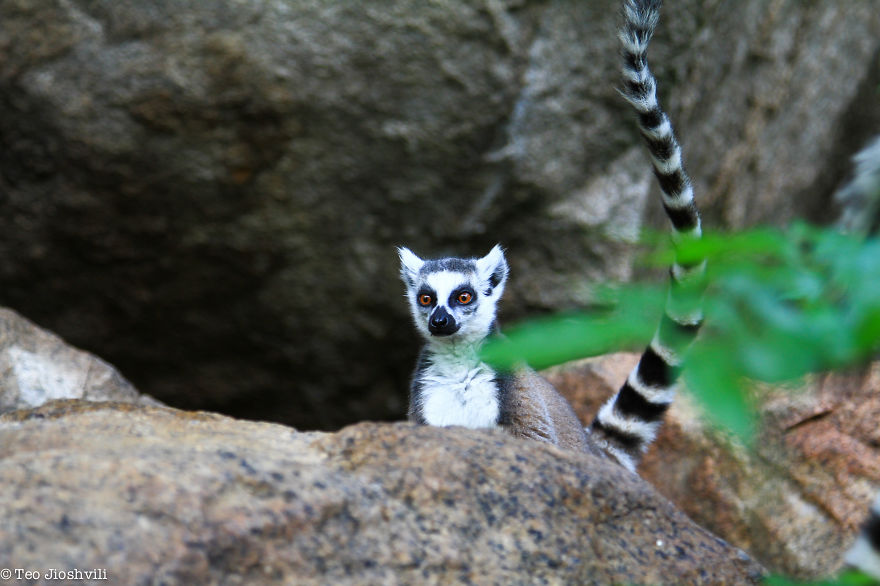 Incredible Madagascar Or The Trip That Left Me Speechless Incredible Madagascar Or The Trip That Left Me Speechless