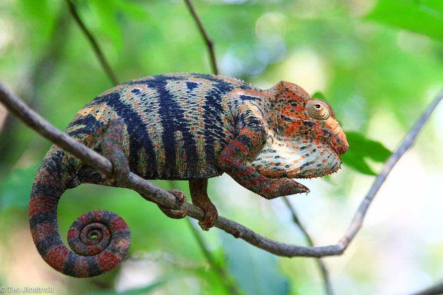 Incredible Madagascar Or The Trip That Left Me Speechless Incredible Madagascar Or The Trip That Left Me Speechless