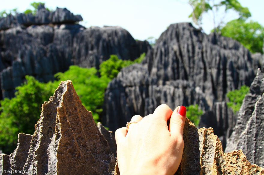 Incredible Madagascar Or The Trip That Left Me Speechless