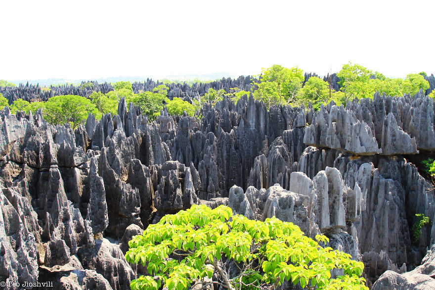 Incredible Madagascar Or The Trip That Left Me Speechless Incredible Madagascar Or The Trip That Left Me Speechless
