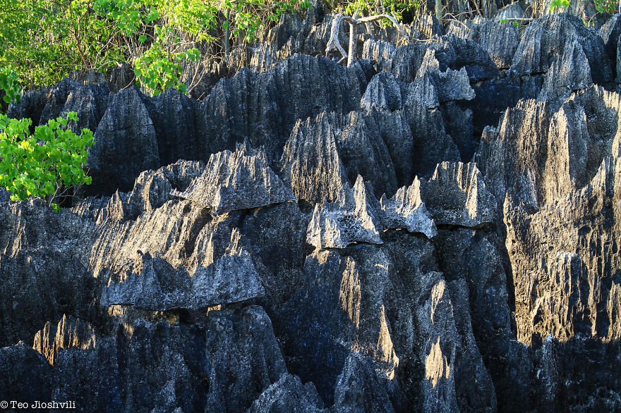 Incredible Madagascar Or The Trip That Left Me Speechless Incredible Madagascar Or The Trip That Left Me Speechless