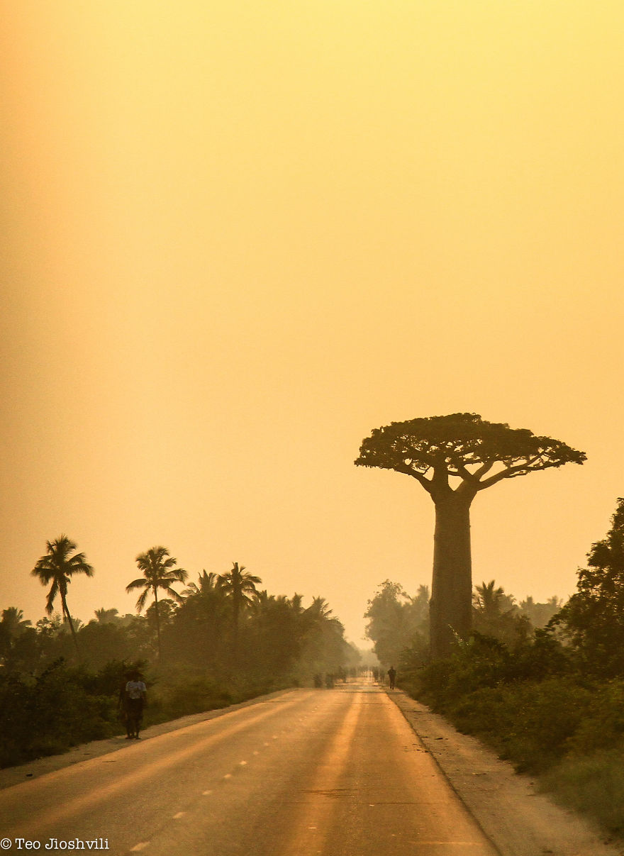 Incredible Madagascar Or The Trip That Left Me Speechless