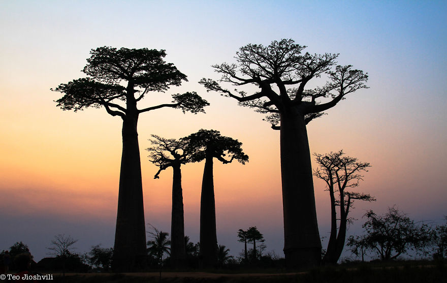 Incredible Madagascar Or The Trip That Left Me Speechless