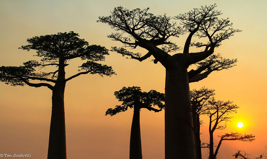 Incredible Madagascar Or The Trip That Left Me Speechless Incredible Madagascar Or The Trip That Left Me Speechless