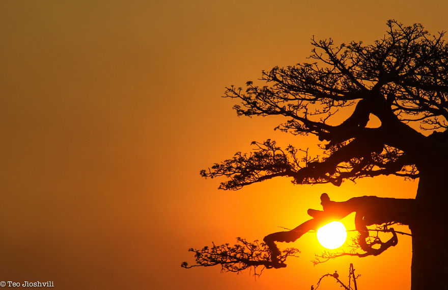 Incredible Madagascar Or The Trip That Left Me Speechless Incredible Madagascar Or The Trip That Left Me Speechless