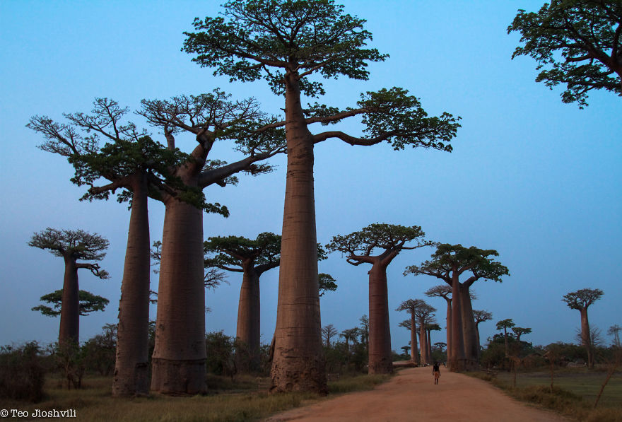 Incredible Madagascar Or The Trip That Left Me Speechless Incredible Madagascar Or The Trip That Left Me Speechless