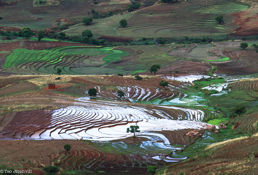 Incredible Madagascar Or The Trip That Left Me Speechless