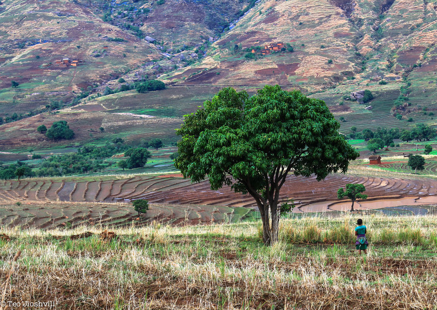 Incredible Madagascar Or The Trip That Left Me Speechless Incredible Madagascar Or The Trip That Left Me Speechless