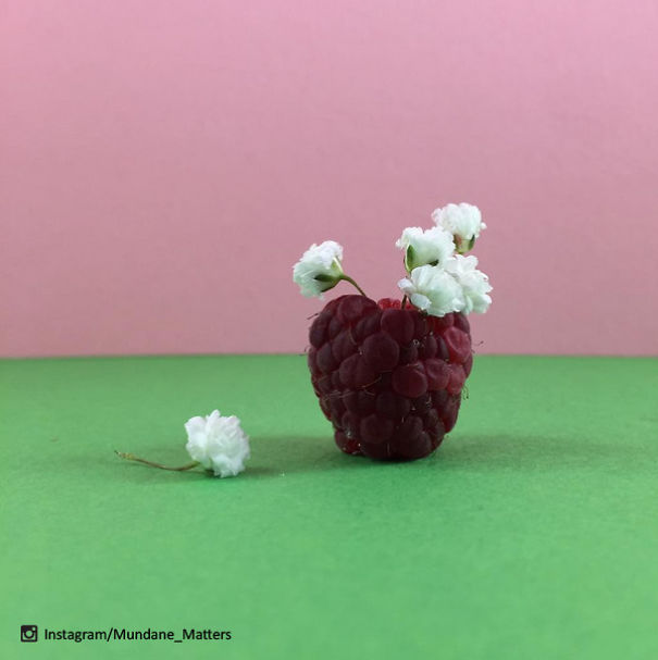 Food Sculpture
