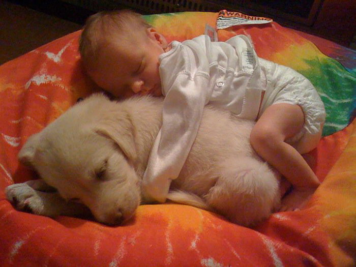 Baby With Puppy