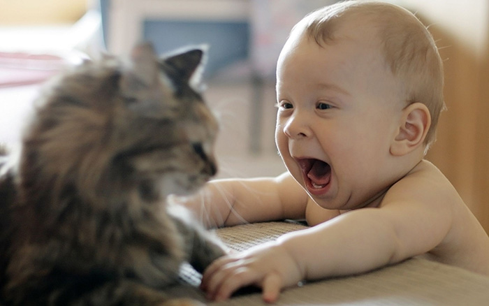 Baby Playing With Cat