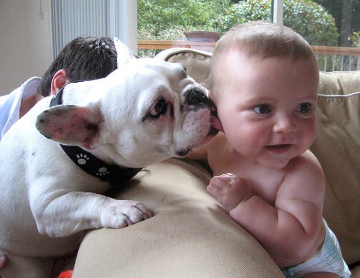 Baby And A Dog