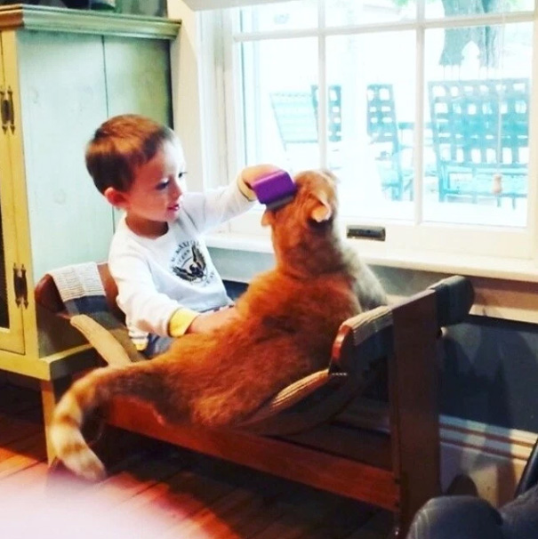 larry-cat-guardian-boy-abel-5