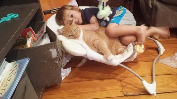 larry-cat-guardian-boy-abel-9