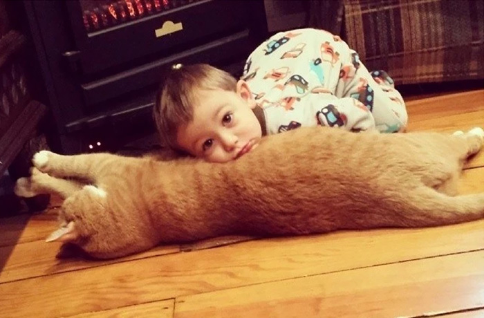 Unwanted Cat Becomes This Little Boy’s Guardian, Following Him Everywhere