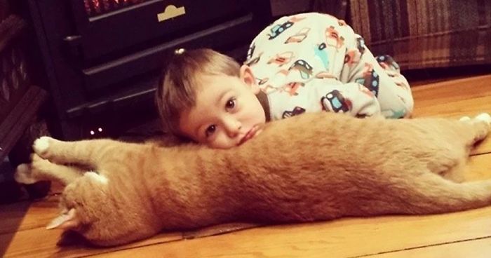 Unwanted Cat Becomes This Little Boy’s Guardian, Following Him Everywhere