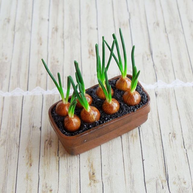 living-out-big-dreams-in-the-tiny-manner1