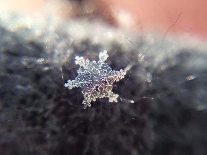 Magic Of Snow: I Try To Capture A Perfect Snowflake Magic Of Snow: I Try To Capture A Perfect Snowflake