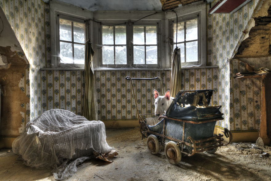 My Dog And I Explore Abandoned Places Across Europe My Dog And I Explore Abandoned Places Across Europe