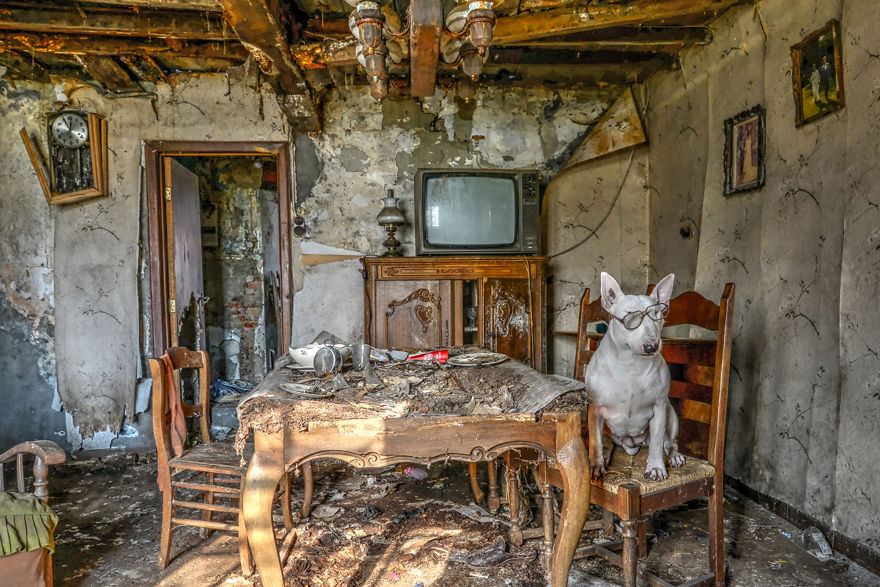 My Dog And I Explore Abandoned Places Across Europe My Dog And I Explore Abandoned Places Across Europe