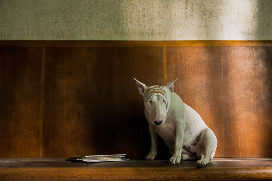 My Dog And I Explore Abandoned Places Across Europe My Dog And I Explore Abandoned Places Across Europe