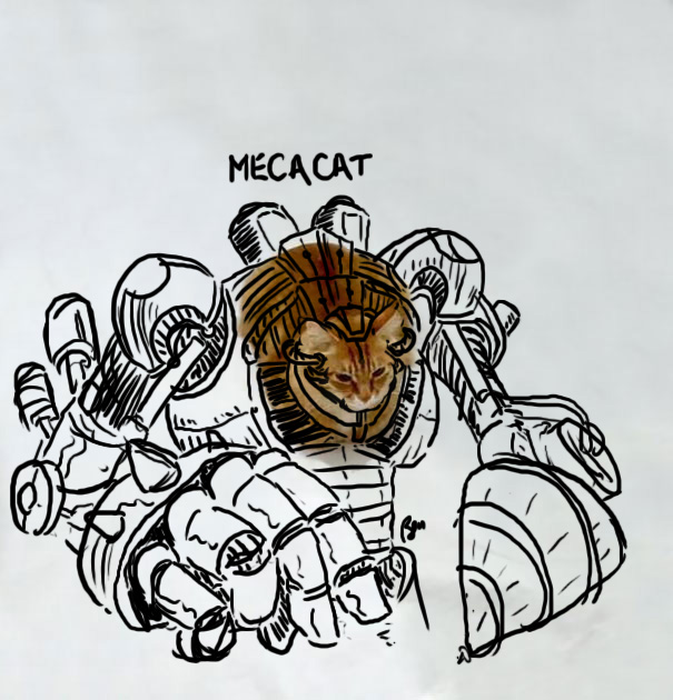 Mecacat