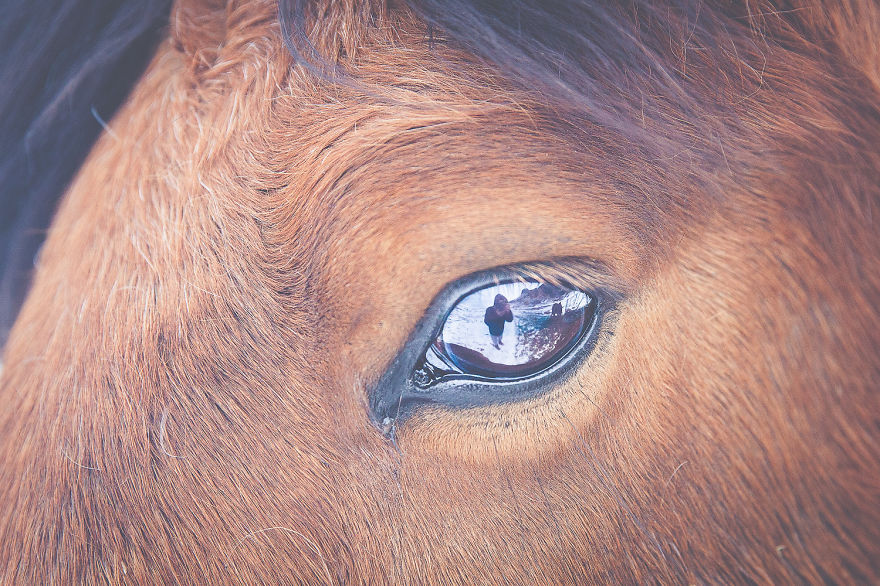 My Road Trip Around Iceland And Why You Should Go There