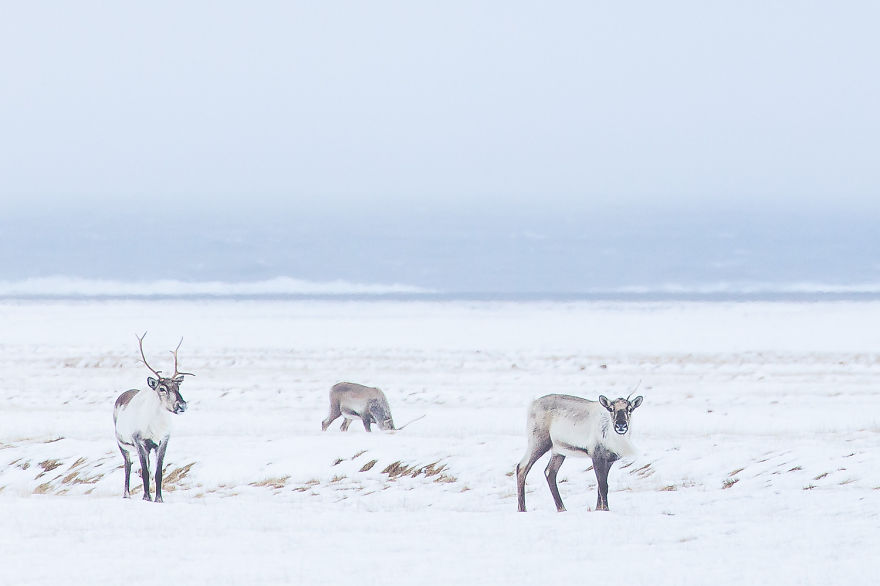 My Road Trip Around Iceland And Why You Should Go There