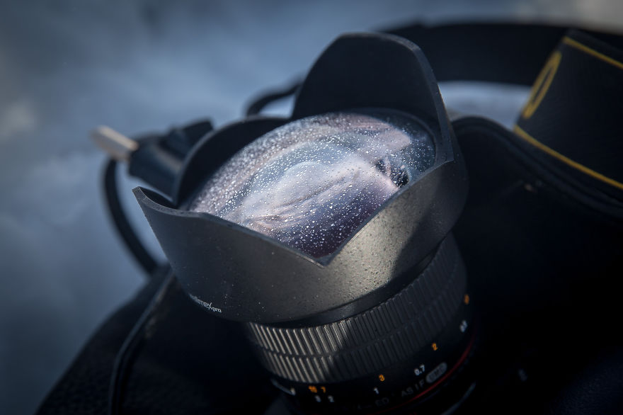 My Road Trip Around Iceland And Why You Should Go There