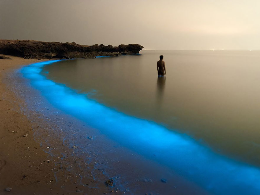 Bioluminous Larak, Iran