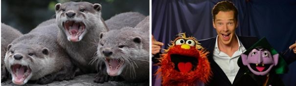 Benedict Cumberbatch Looks Like An Otter.