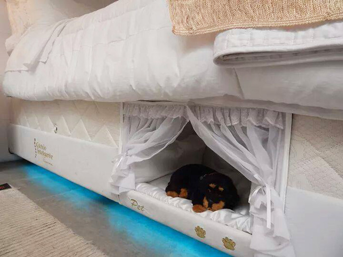 pet-bed-inside-mattress-colchao-inteligente-postural-11 pet-bed-inside-mattress-colchao-inteligente-postural-11