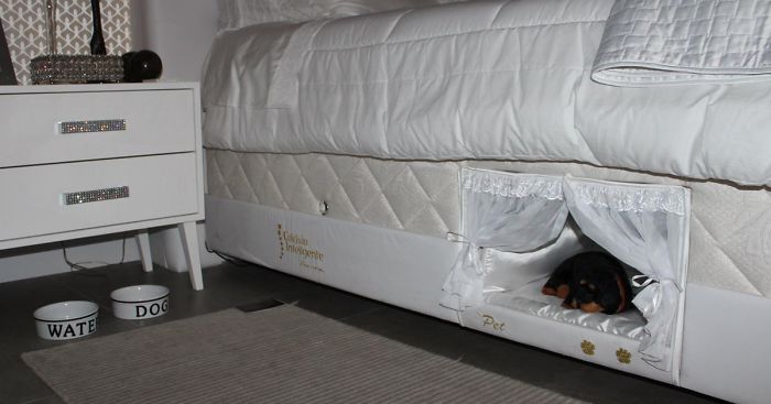 This Bed Has A Tiny Compartment For Your Pet So That You Can Sleep Together