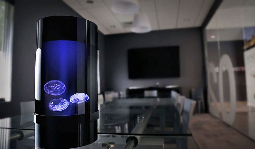 pet-jellyfish-art-led-aquarium-3 pet-jellyfish-art-led-aquarium-3