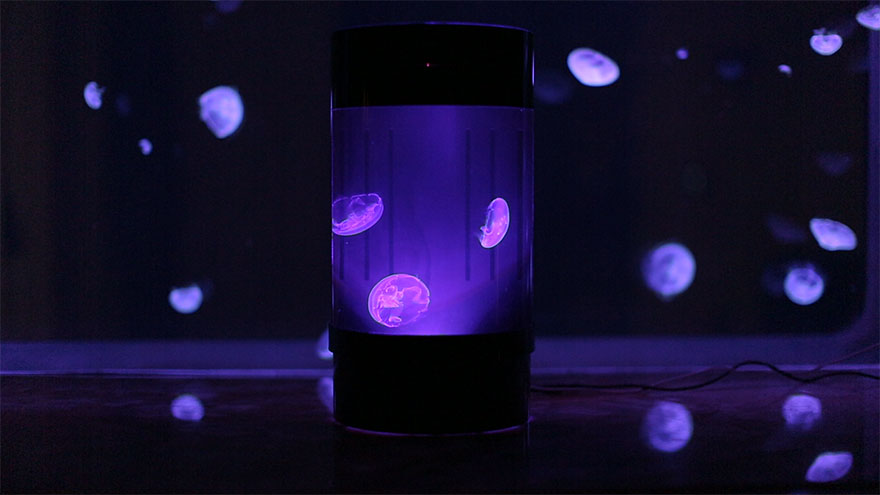 pet-jellyfish-art-led-aquarium-7 pet-jellyfish-art-led-aquarium-7
