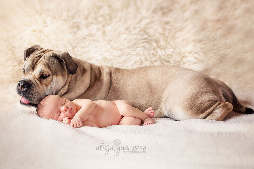 Alicja Yusupova, Poland