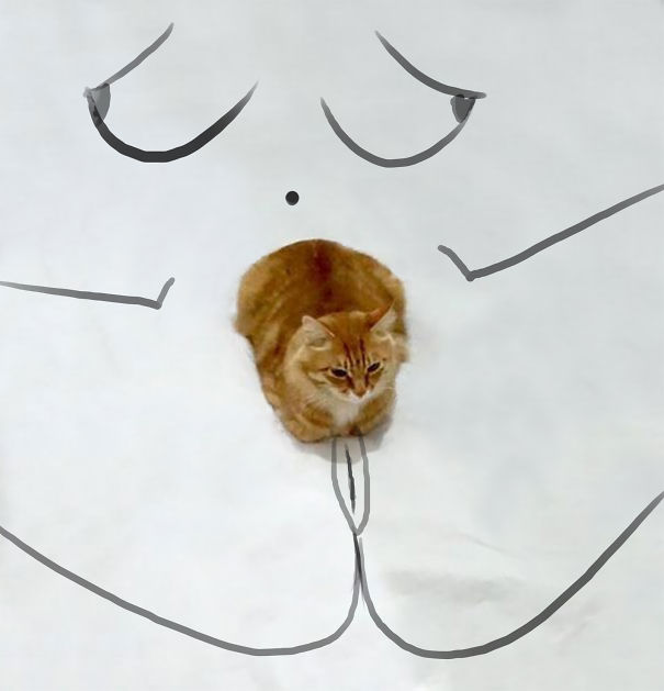 Pubic Cat