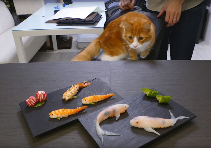 real-life-swimming-koi-sushi-4 real-life-swimming-koi-sushi-4