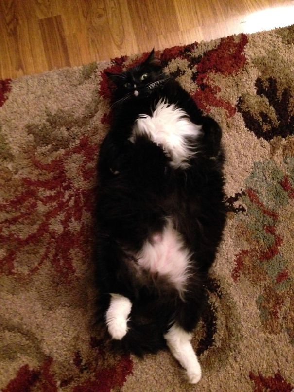 Do You See My Gloriousness?