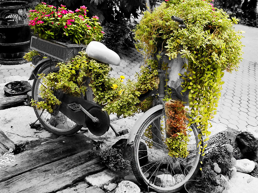 My Street Photography In Selective Color My Street Photography In Selective Color