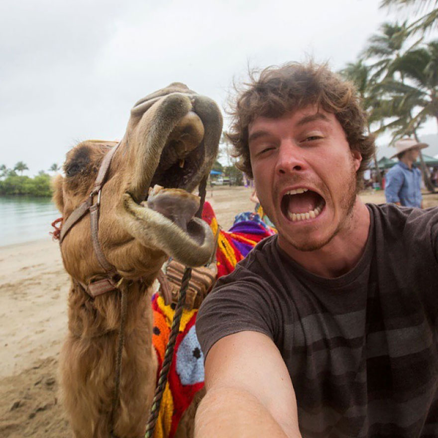 selfie-master-dr-dolittle-29 selfie-master-dr-dolittle-29