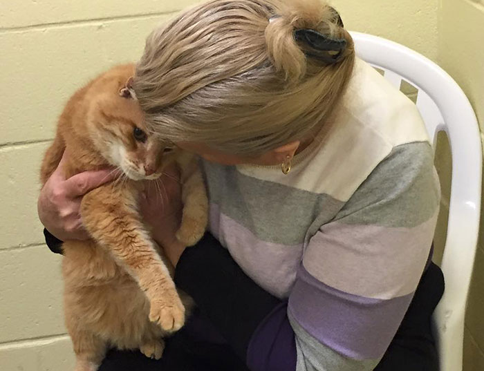 Woman Adopts Senior Cat, Later Comes Back To Shelter For His 16-Year-Old Best Friend