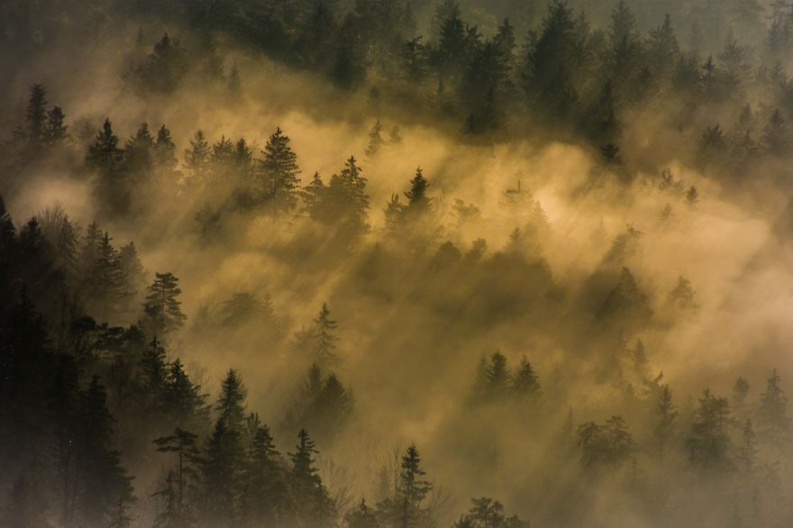 Chasing Sunrays In My Slovenian Hometown