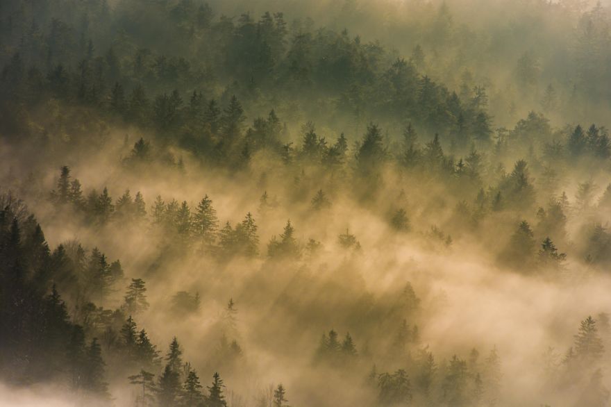 Chasing Sunrays In My Slovenian Hometown