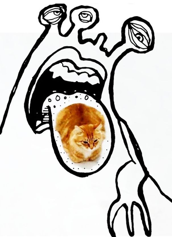 Take One At Bedtime And Claw Me In The Morning