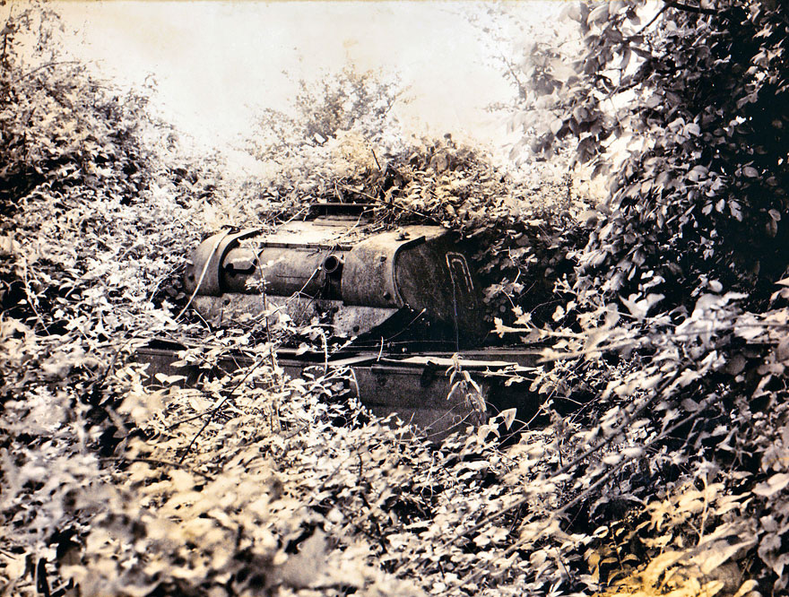 Tank Taken Over By Nature