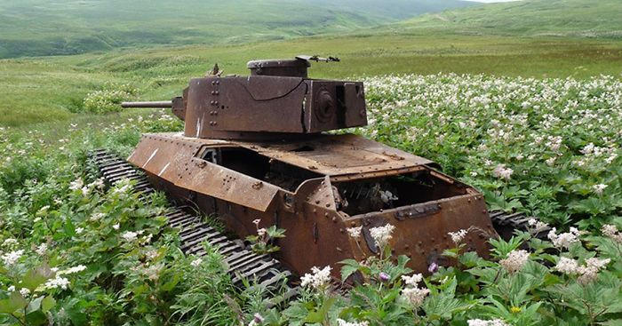 Tanks Swallowed By Nature Look So Peaceful As If The War Never Happened (45 Pics)