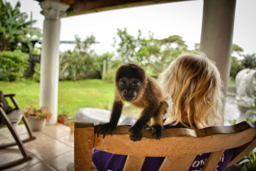This Baby Monkey Taught Me A Lesson About The Purity We Don’t See In Humans This Baby Monkey Taught Me A Lesson About The Purity We Don’t See In Humans