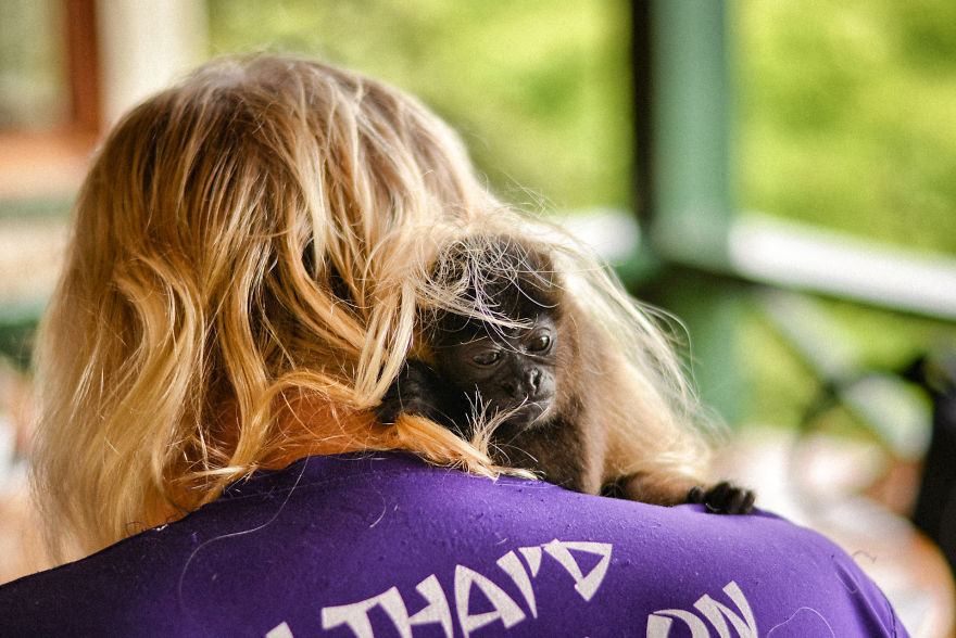 This Baby Monkey Taught Me A Lesson About The Purity We Don’t See In Humans This Baby Monkey Taught Me A Lesson About The Purity We Don’t See In Humans