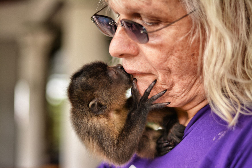 This Baby Monkey Taught Me A Lesson About The Purity We Don’t See In Humans This Baby Monkey Taught Me A Lesson About The Purity We Don’t See In Humans